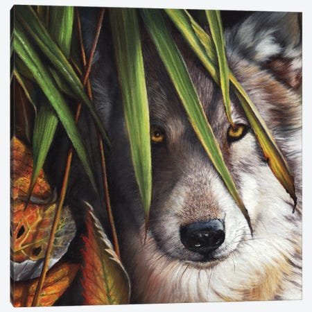 Forever Autumn Canvas Print #PWI47} by Peter Williams Art Print
