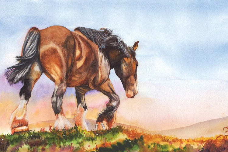 Golden Days by Peter Williams wall art