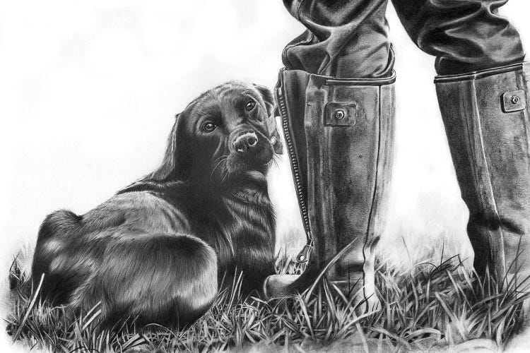 Gun Dog by Peter Williams wall art