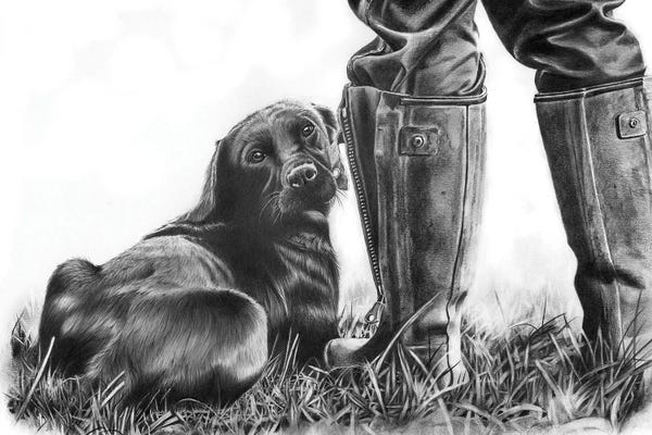 Labrador Retrievers: Gun Dog by Peter Williams