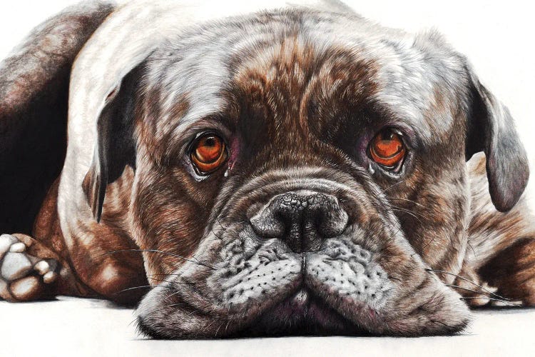 Happy Days by Peter Williams wall art