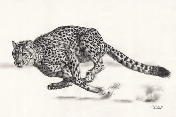 Jaguars: Hell For Leather by Peter Williams