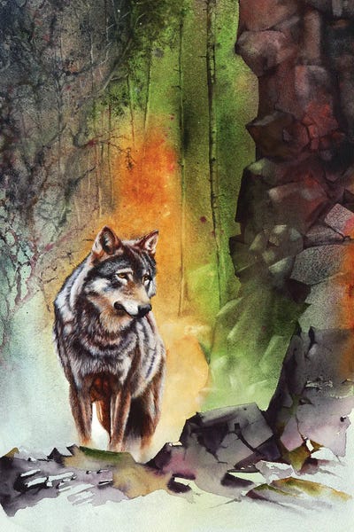 Wolves: High Country by Peter Williams