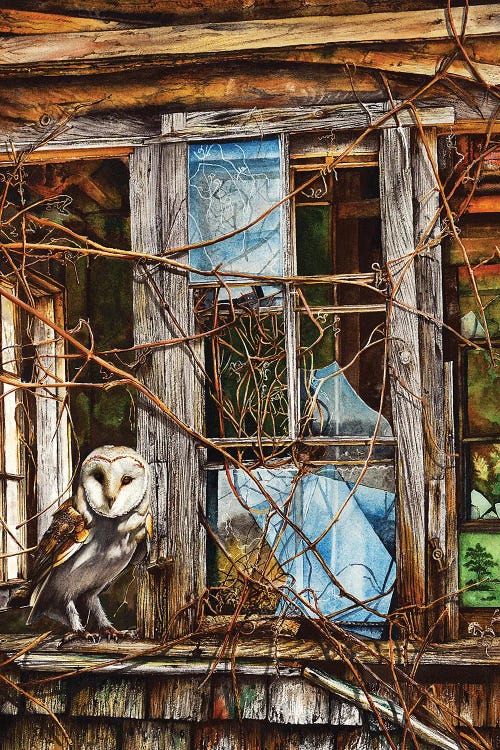 Hooter's Drum by Peter Williams wall art
