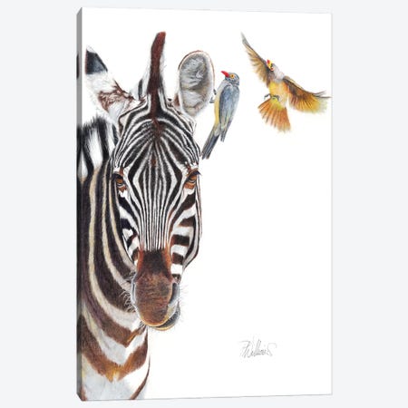 The Horse Whisperer Canvas Print #PWI59} by Peter Williams Art Print