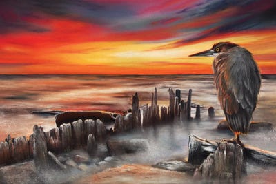 Another Bloody Sunset by Peter Williams canvas print