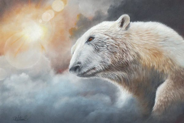 Peter Williams: Ice In The Sun by Peter Williams