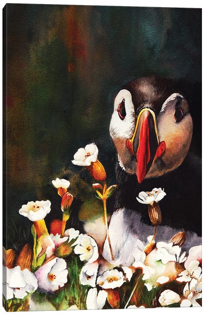 In Your Face Canvas Art Print - Toucan Art
