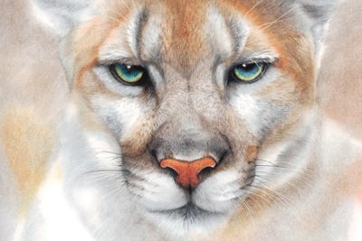 Intensity by Peter Williams canvas print