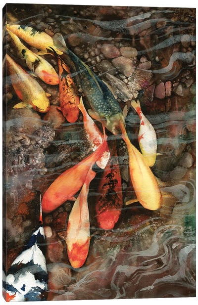 In The Swim Canvas Art Print - Koi Fish Art