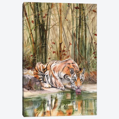 Jungle Spirit Canvas Print #PWI67} by Peter Williams Canvas Art Print