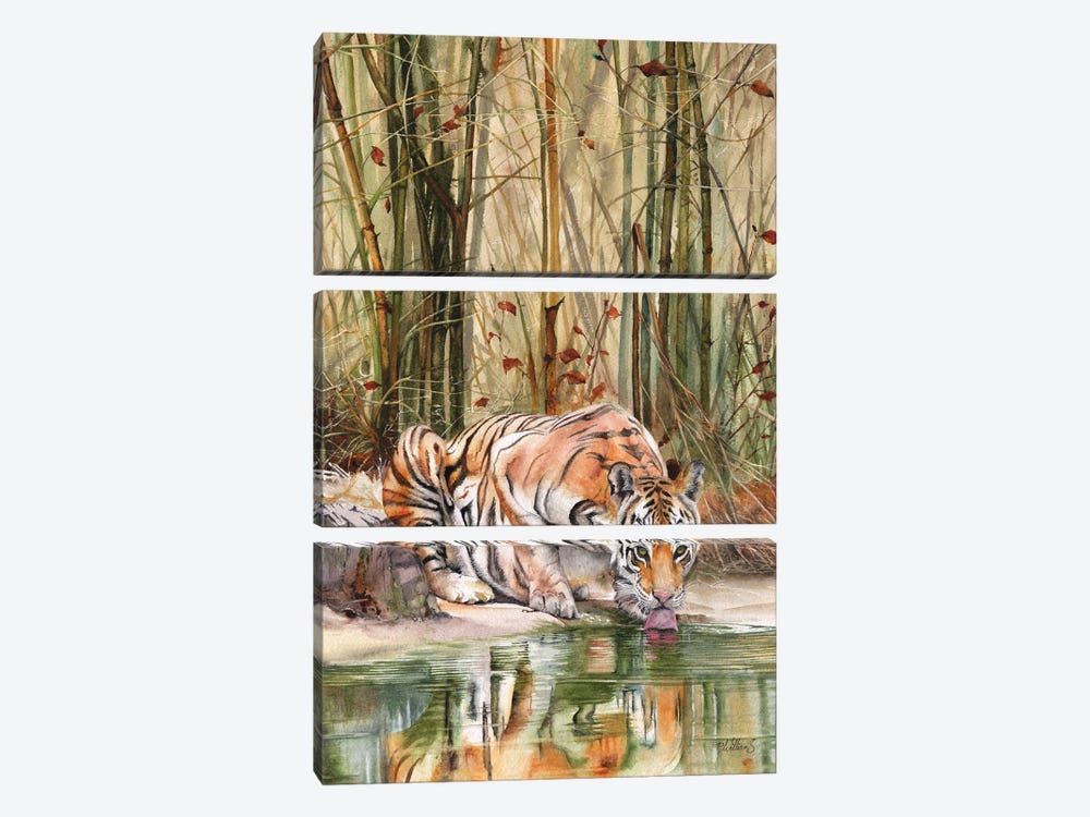Jungle Spirit by Peter Williams 3-piece Canvas Art Print