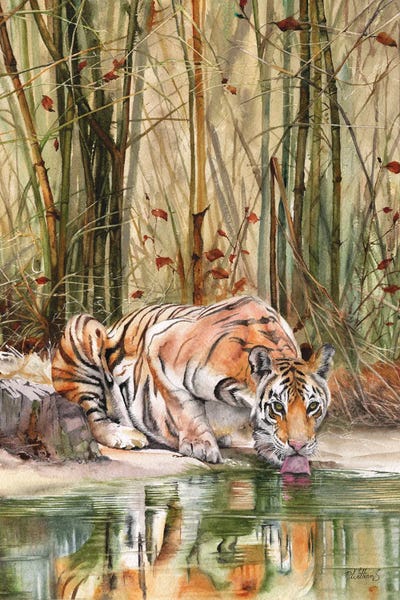 Peter Williams: Jungle Spirit by Peter Williams
