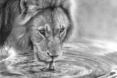 Lapping It Up by Peter Williams framed canvas print