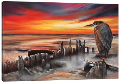 Another Bloody Sunset Canvas Art Print - Peter Williams