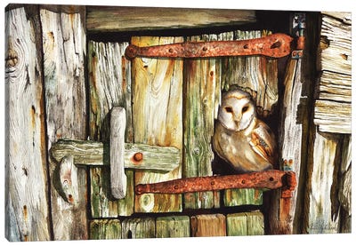 Last Light Canvas Art Print - Owl Art
