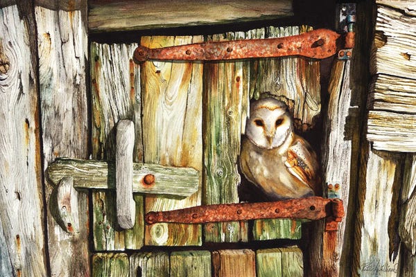 Intricate Watercolors: Last Light by Peter Williams