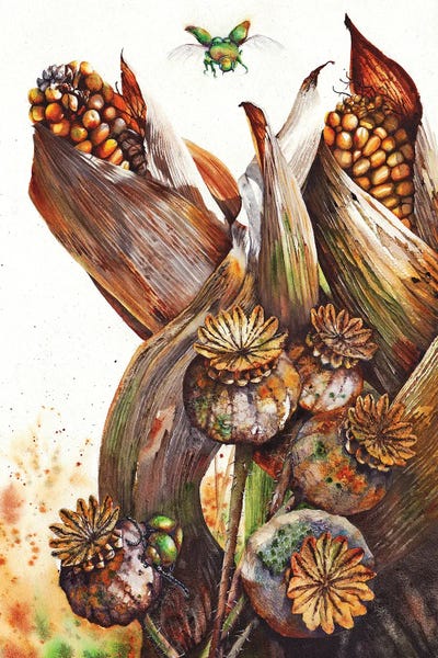 Beetles: Life Goes On by Peter Williams