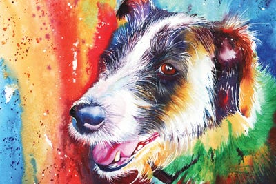 Life In The Old Dog Yet by Peter Williams canvas print