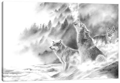 Mountain Spirits Canvas Art Print - Peter Williams
