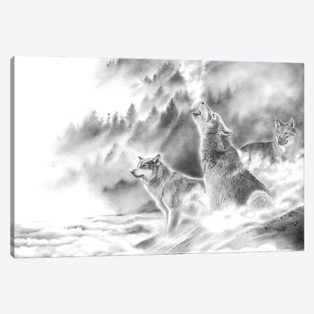 Mountain Spirits Canvas Print #PWI76} by Peter Williams Canvas Artwork