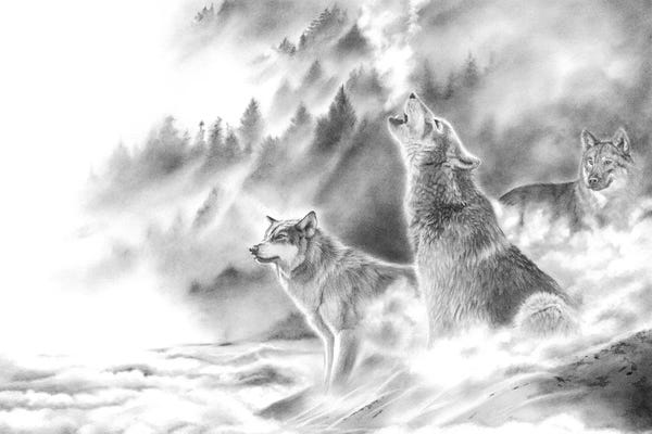 Wolves: Mountain Spirits by Peter Williams