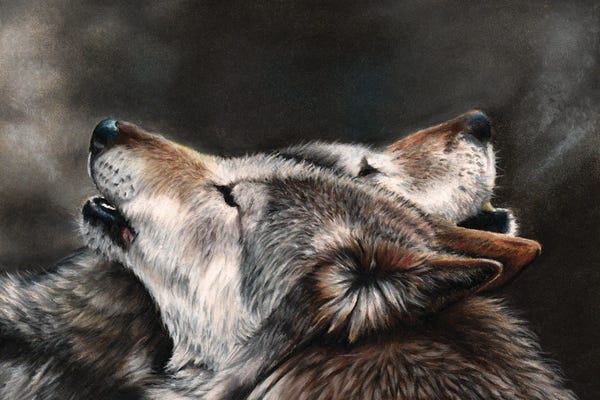 Peter Williams: One Last Song by Peter Williams
