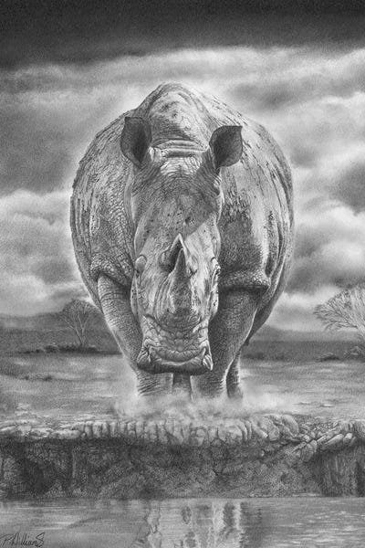 On The Edge by Peter Williams art print