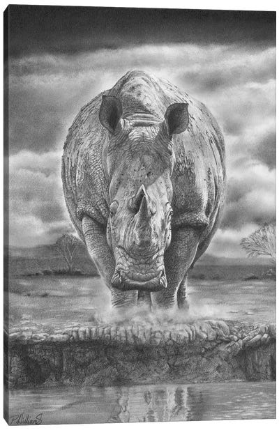 On The Edge Canvas Art Print - Rhinoceros Art