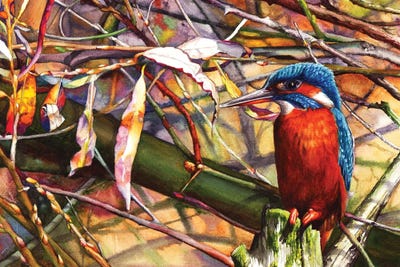 Red River Shore by Peter Williams framed canvas print