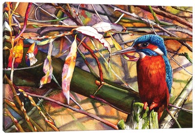 Red River Shore Canvas Art Print - Peter Williams