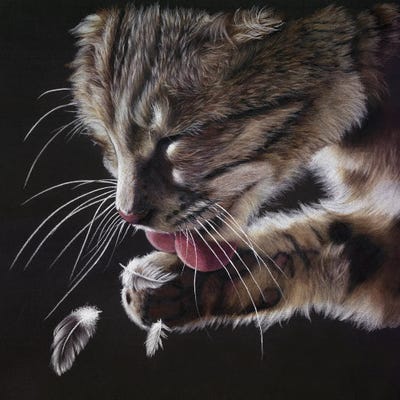 Prime Suspect by Peter Williams framed canvas print