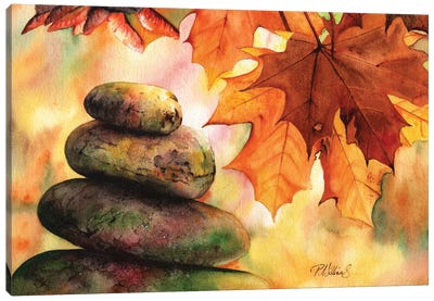 Rock Fall Canvas Art Print - Peter Williams