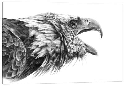 Screaming Eagle Canvas Art Print - Peter Williams