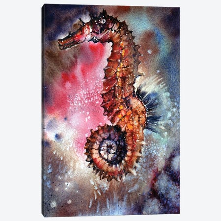 Sea Horse Canvas Print #PWI93} by Peter Williams Canvas Print