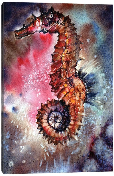 Sea Horse Canvas Art Print