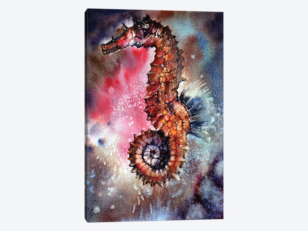 Sea Horse by Peter Williams 1-piece Canvas Wall Art