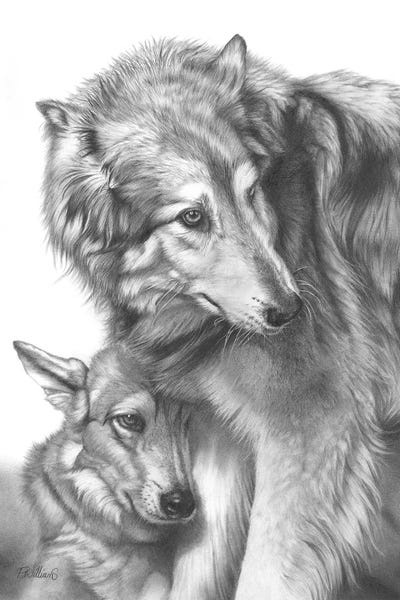 Peter Williams: She Wolf by Peter Williams