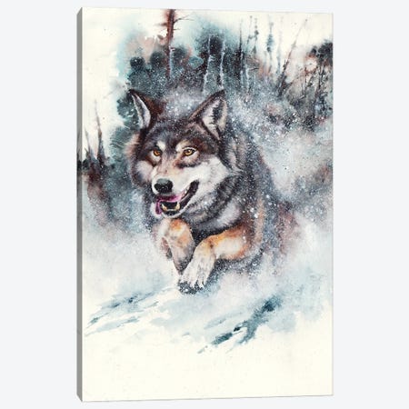 Snow Storm Canvas Print #PWI99} by Peter Williams Art Print