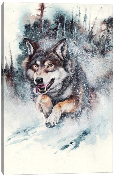 Snow Storm Canvas Art Print - Peter Williams