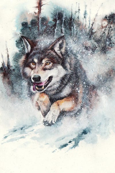 Rustic Winter: Snow Storm by Peter Williams