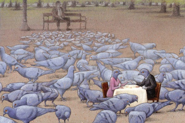 Doves & Pigeons: Date by Pawel Kuczynski