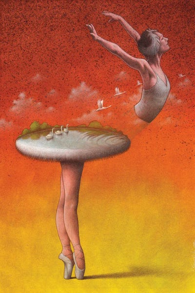 Witty Humor: Swan Lake by Pawel Kuczynski