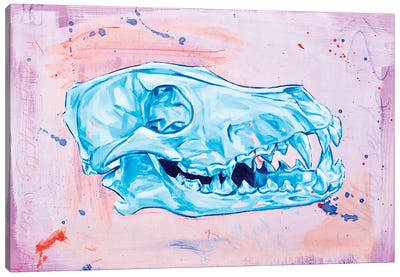 Coyote Skull Canvas Art Print - Paul Ward