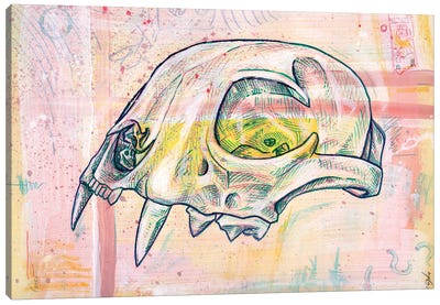 Bobcat Canvas Art Print - Skull Art