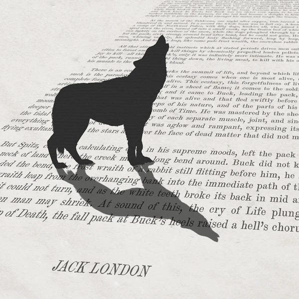 Reading Nook: Call of the Wild by Peter Walters