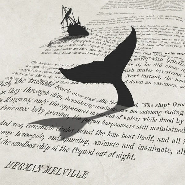 Reading Nook: The Ship! The Hearse! by Peter Walters