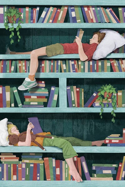 Reading Nook: Bookshelf Wonder by Peter Walters