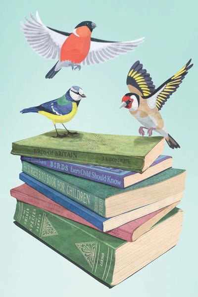 Peter Walters: The Pleasure Of Birds by Peter Walters