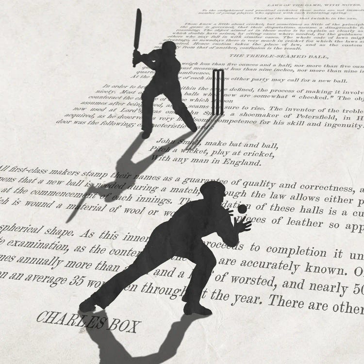 The Art Of Cricket by Peter Walters wall art
